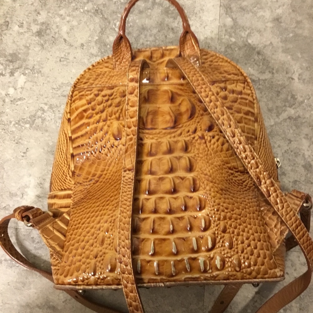 Brahmin - Picture 2 of 2